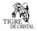 Tigre de Cristal